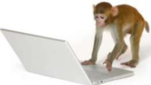 On the Internet, nobody knows you're a monkey.