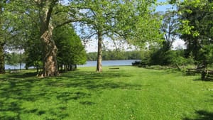 A view from Pennsbury: a verdant lawn with large leafy green trees runs toward the blue river on a sunny day.