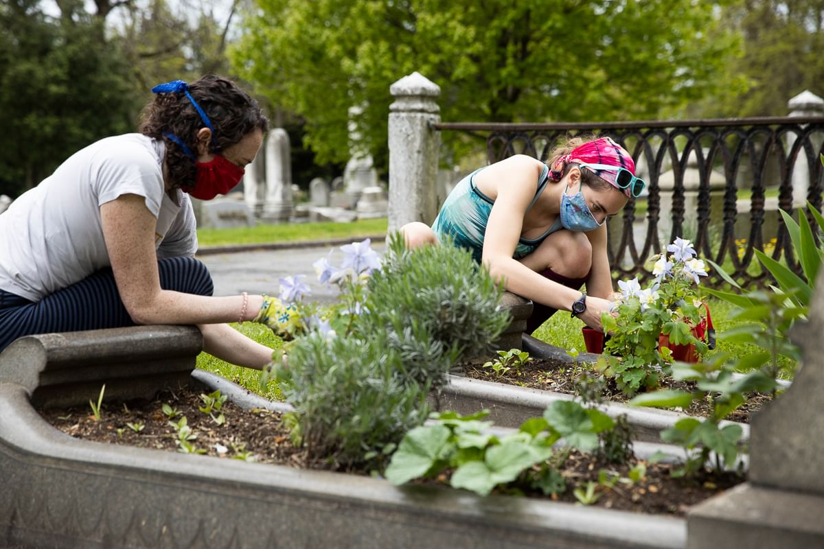 Shake up your walks by visiting the historic Woodlands in West Philadelphia. (Photo courtesy of The Woodlands.)