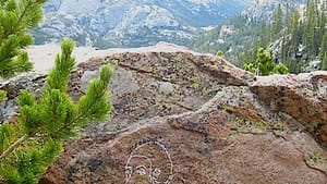 #creepytings’s spoor in Rocky Mountain National Park. (Photo by Bill Stock, via nationalparkstraveler.com)