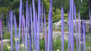 Dale Chihuly installation at Denver Botanic Gardens (photo by the author)