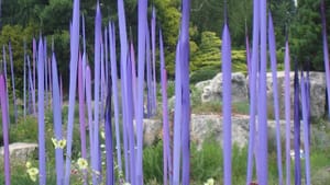 Dale Chihuly installation at Denver Botanic Gardens (photo by the author)