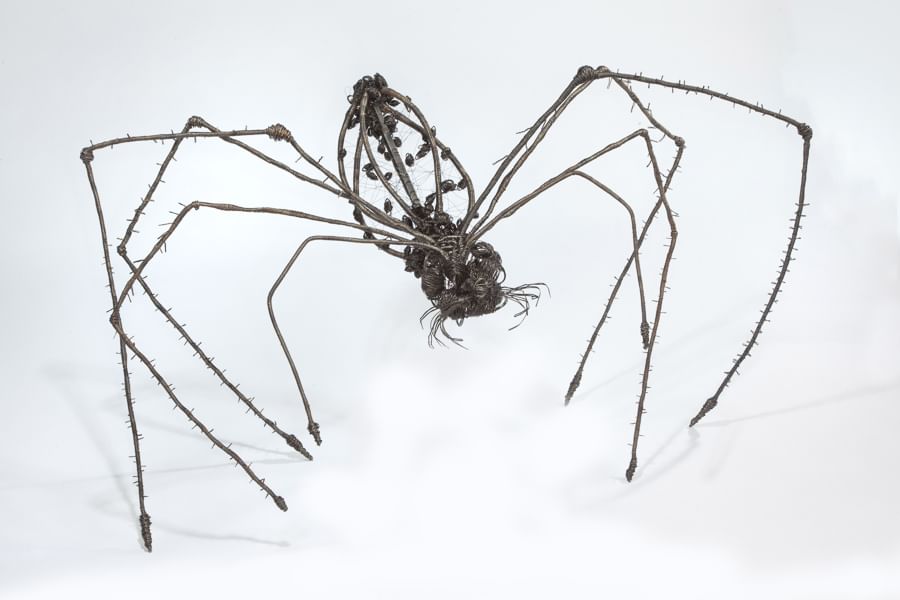 Sewon An's "Guhmi," made of steel wire, will be on display. Photo by Ken Yanoviak.