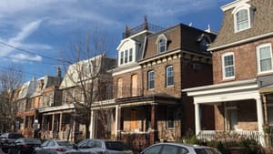 Have I really been on the sunny side of the street all along? (Photo by Alaina Johns.)