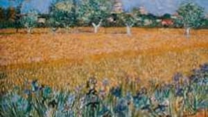 'Field of Flowers Near Arles': A few steps ahead of the scythe.